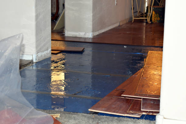 Professional Water Damage Repair technician working in Riverside, RI